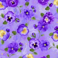 ttPANSY-CD4871 MULTI